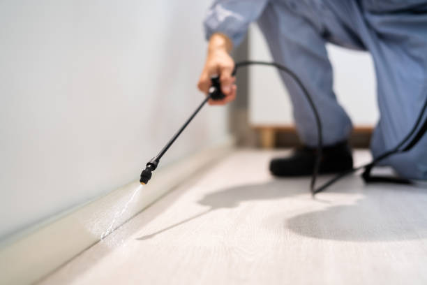 Licensed Pest Control service in Wabasso Beach, FL - Show Me Pest Control