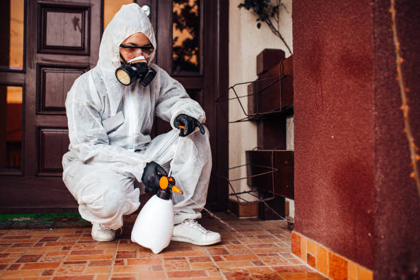 Reliable Ant Control contractor in Wabasso Beach, FL by Show Me Pest Control